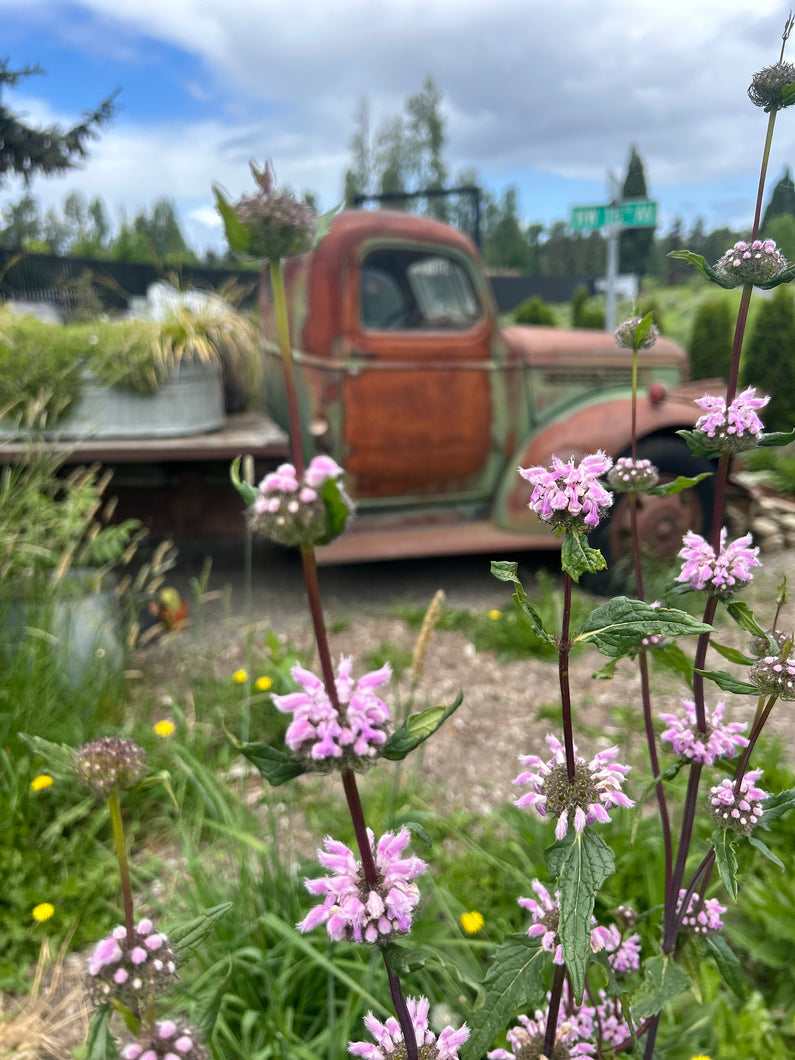 Urban Farm Artisans Market
