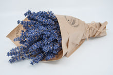 Lavender Bundle